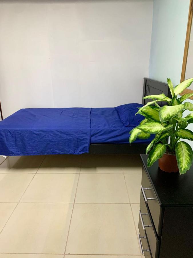 Global House Cr Hostel Backpackers Alajuela Habitacion Compartida 2 Camas Por Habitacion Ngoại thất bức ảnh